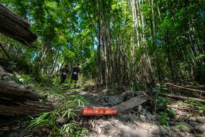 BIB: 
                            <button type="button" onclick="openModal(19394246)" class="btn btn-primary btn-sm float-right btn-popup" data-toggle="modal" data-target=".modal-high-quality">
                        <i class="fas fa-shopping-cart"></i> Add to Cart
                    </button>
                                            <button type="button" onclick="isThisMe(19394246, true)" class="btn btn-success btn-sm float-right btn-popup btn-isme hidden" data-toggle="tooltip" data-placement="bottom" title="นี่คือรูปของคุณใช่ไหม คลิกที่นี่เพื่อเอาเข้าอัลบั้ม">
                        <i class="fas fa-plus"></i> Add to album
                    </button>
                    <button type="button" onclick="isThisMe(19394246, false)" class="btn btn-warning btn-sm float-right btn-popup btn-isnotme hidden">
                        <i class="fas fa-ban"></i> Remove from album
                    </button>